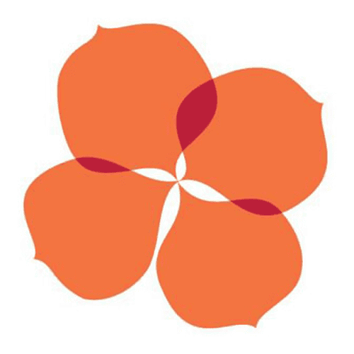 NT Christian College - Palmerston Campus logo