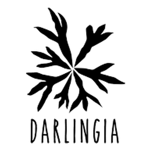 Darlingia Forest School logo
