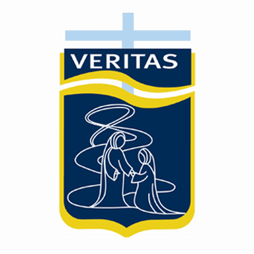 Our Lady of the Visitation School logo