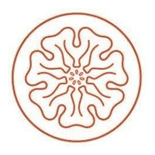 Melbourne Rudolf Steiner School logo