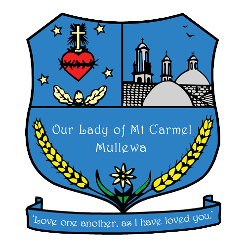 Our Lady of Mount Carmel School logo